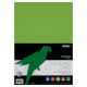 Premier Activity A4 160gsm Card 50 Parrot Green