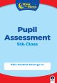 Over The Moon 5th Class Pupil Assessment 