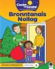 Cosan na Gealai : Bronntanais Nollag (Junior Infants Fiction Reader 4)