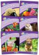 Jolly Phonics Readers Level 5 Our World 6 Books